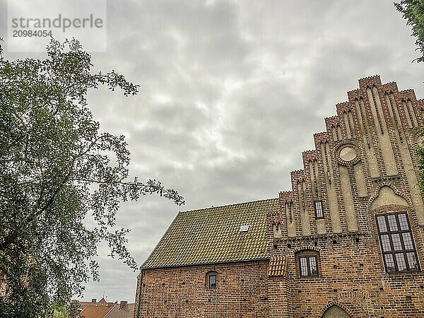 A historic brick building with a roof tile  in front of a cloudy sky and a tree in the foreground  trelleborg  sweden  baltic sea  scandinavia