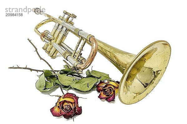 Old rusty trumpet with withered roses cut out on white