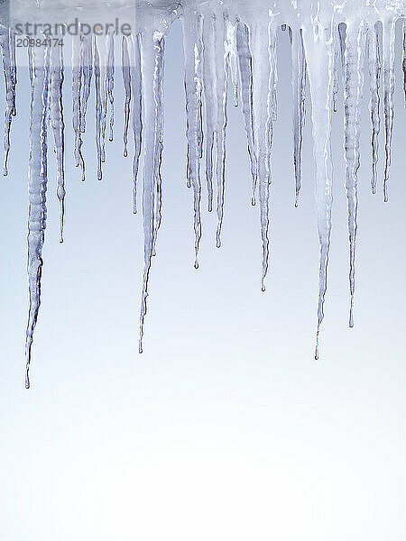 Melting icicles isolated on light blue background