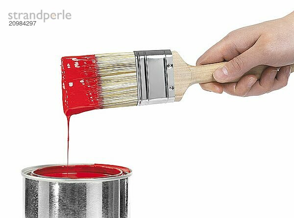 Person holding a paintbrush dipped in red paint isolated on white background