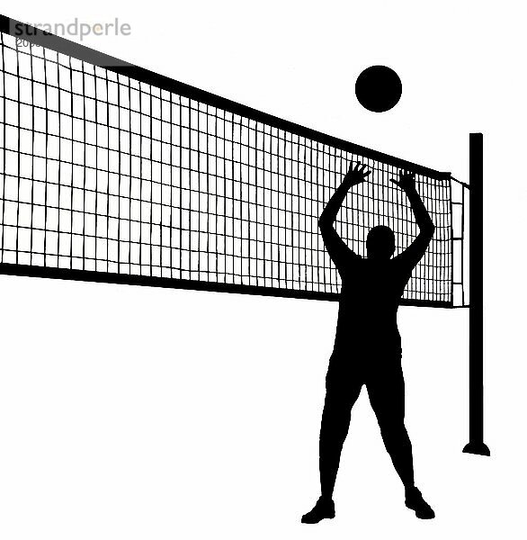 Volleyball player with net as silhouette cut out on white