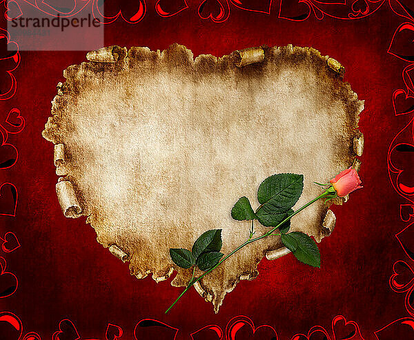 Heart-shaped vintage piece of parchment with a red rose on it. Valentines Day Card romantic love letter on red background