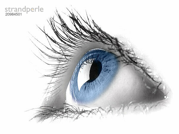 Blue female eye macro photography. Eyesight vision biometrics concept. Digitally painted and isolated on white background