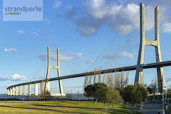 Ponte Vasco da Gama Bridge view from a garden park during the day