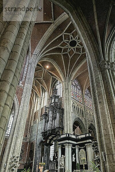 10th century Gothic St. Bavo Cathedral  Vaulted ceiling and columns of the central nave  Ghent  Flanders  Belgium  Europe