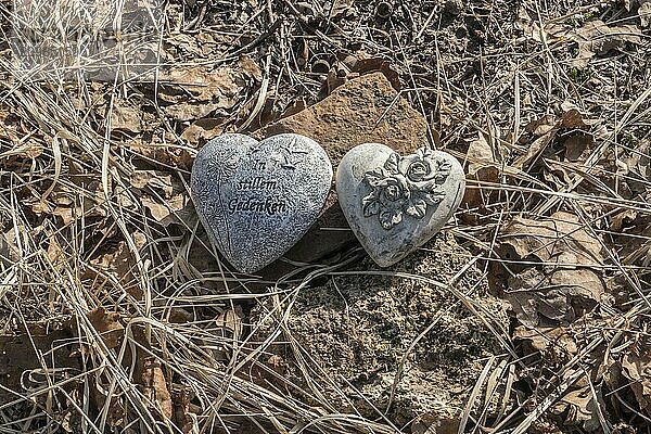 Hearts with inscription  natural burial grave site  Friedwald  Reinhardswald Forest  Weser Uplands  district of Kassel  Hesse  Germany  Europe