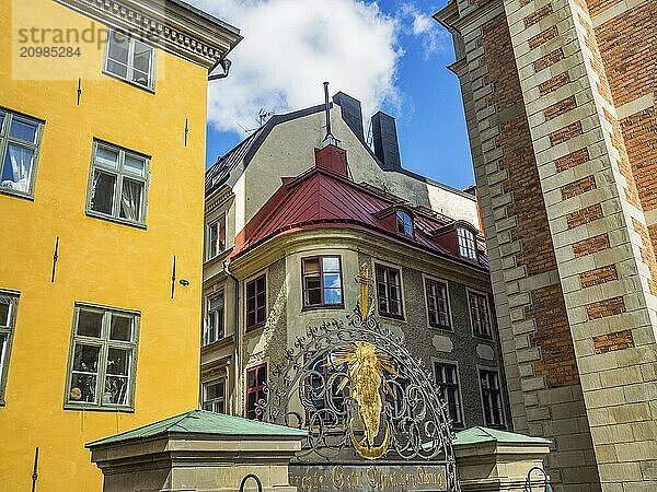 Historic houses in warm shades of yellow and red with many windows and a clear sky in the background  stockholm  baltic sea  sweden  scandinavia