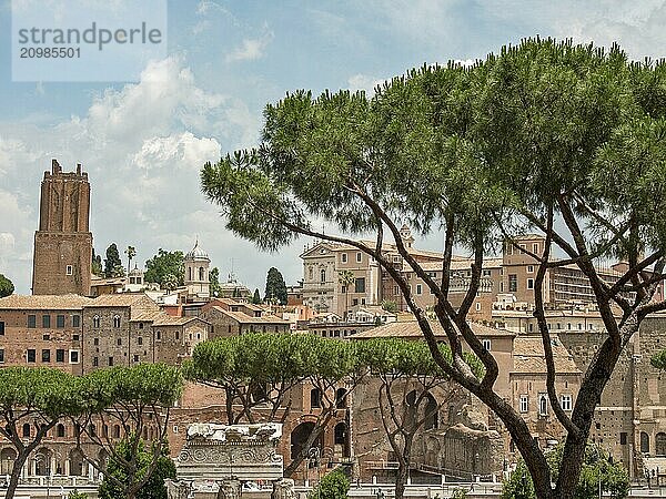 View of a historic city with ancient buildings and pine trees  above a cloudy sky  rome  italy