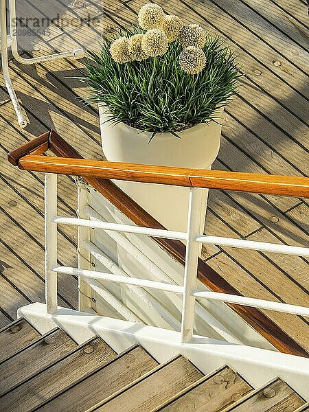 Wooden staircase on a ship deck with an orange-coloured railing and a potted flower decoration  stockholm  baltic sea  sweden  scandinavia