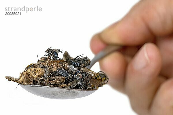 Many dead insects lie on a tablespoon held in the hand  isolated on white