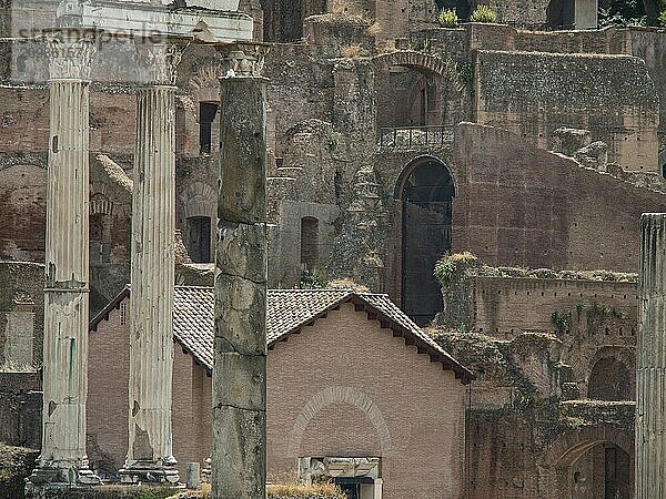 Close-up of ancient brick ruins and columns  focussing on architectural details and historical context  Rome  Italy  Europe