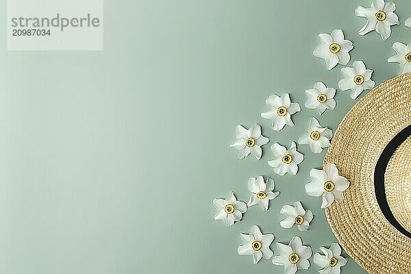 Summertime collection concept flat lay on green background with straw hat and flower heads of daffodil.