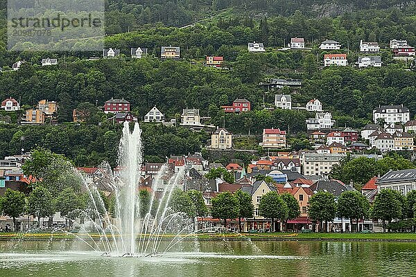 Fountain in the lake inside the city of Bergen  Norway  Europe