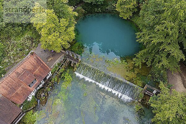 Blautopf Blaubeuren with industrial monument Hammerschmiede  source of the little river Blau in a landscape with forest. Karst spring  geotope and geopoint of the UNESCO Swabian Alb Geopark  tourist attraction. The popular excursion destination is now being thoroughly renovated and will therefore be closed to visitors until the end of 2028. Drone photo. Blaubeuren  Baden-Württemberg  Germany  Europe