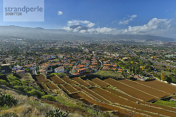 View from Mirador de Humboldt of La Orotava  Puerto de la Cruz and Pico del Teide  Tenerife  Canary Islands  Spain  Europe