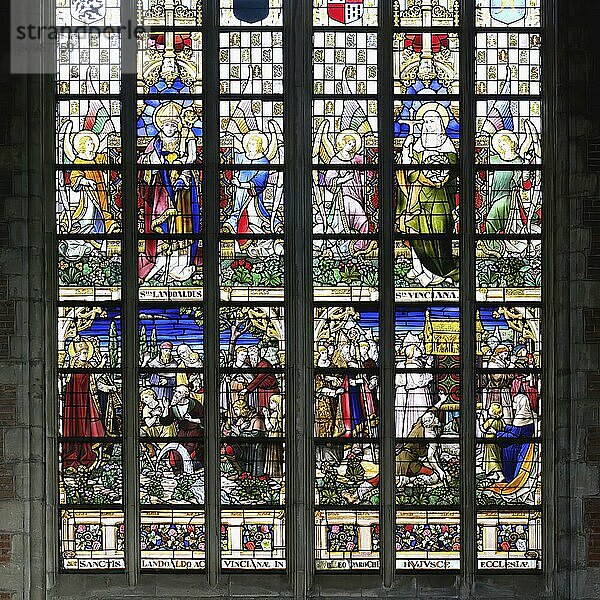 10th century Gothic St. Bavo Cathedral  Stained-Glass window  Ghent  Flanders  Belgium  Europe