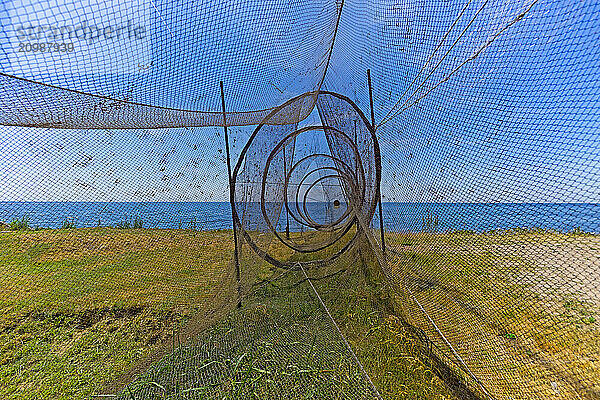 Fish trap  Usedom  Mecklenburg-Western Pomerania  Germany  Europe