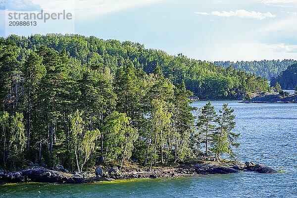 Trees on a small island in the water  illuminated by the sunshine on a summer day  stockholm  baltic sea  sweden  scandinavia