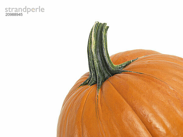 Closeup of a pumpkin isolated on white background