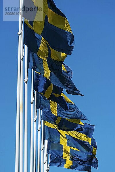 Several swedish flags flying on flagpoles