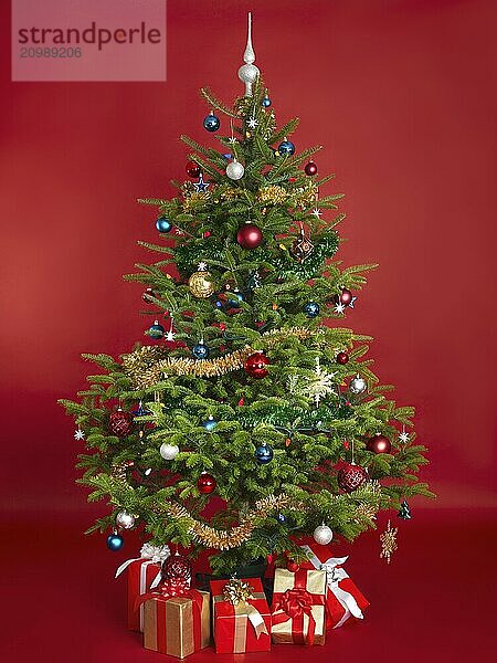 Decorated real Christmas tree isolated on red background