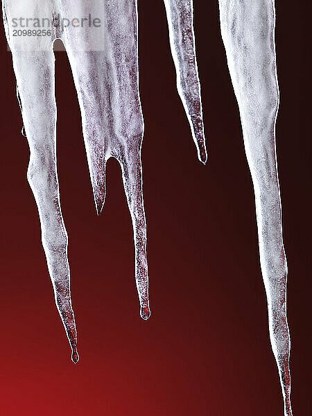 Melting icicles isolated on hot red background