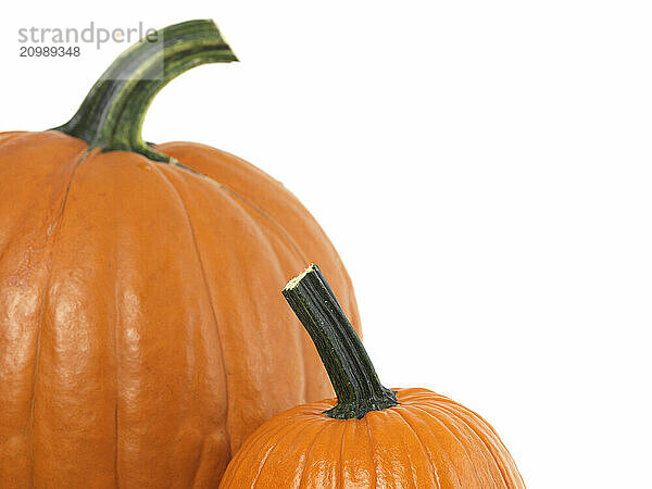 Closeup of two pumpkins isolated on white background