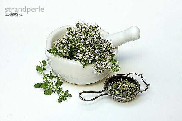 Flowering oregano in a grating bowl and dried oregano in a tea strainer  Origanum vulgare