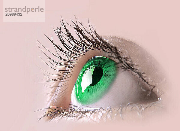 Green female eye macro photography. Eyesight vision biometrics concept