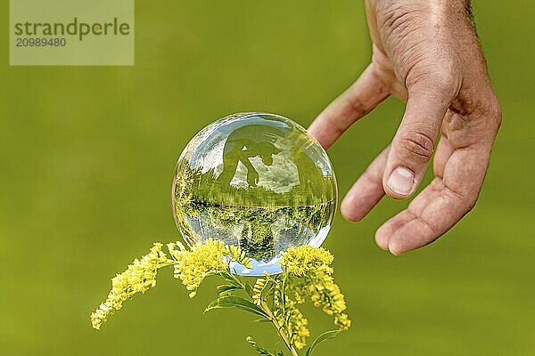 A man's hand grasps a glass sphere with a mirrored lake  trees and a cloudy sky against a green background