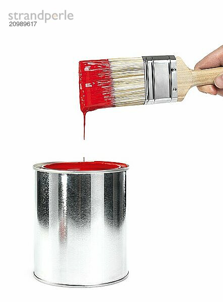 Closeup of a person hand holding a paint brush dipped in a can with red paint isolated on white background. Renovations and painting concept