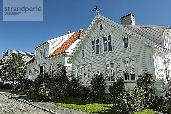 Typical houses and cobblestone street in Stavanger  Norway  Europe