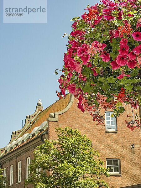 Historic brick building with blooming flower pot and clear sky  trelleborg  sweden  baltic sea  scandinavia