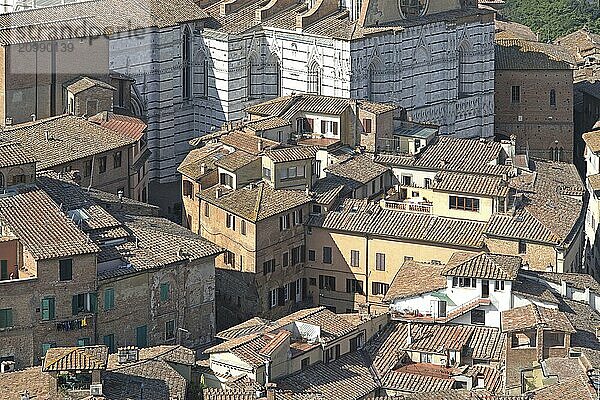 Duomo  medieval city  old houses  Siena from above  Siena from Campanile