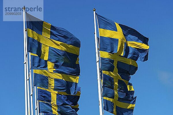 Several swedish flags flying on flagpoles