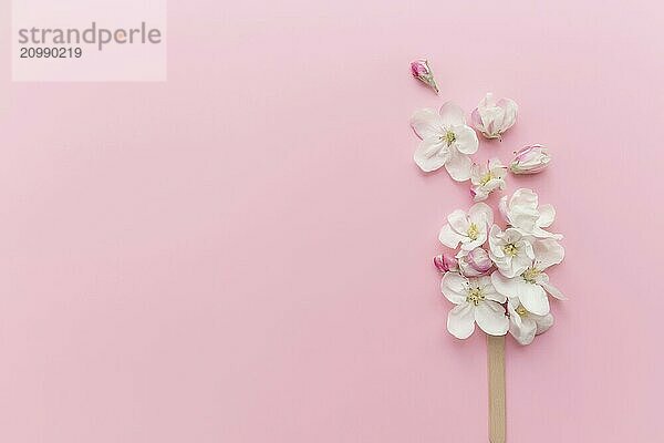 Greeting card concept flat lay on pink background with apple blossom ice cream lolly on a stick.