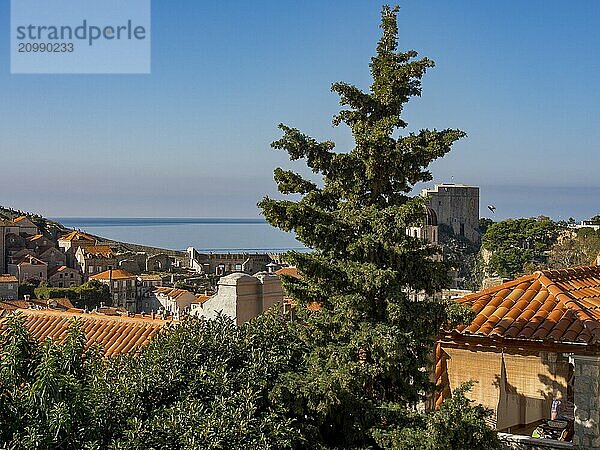 View of a coastal town with tiled roofs and trees  in the background the Mediterranean Sea  dubrovnik  Mediterranean Sea  Croatia  Europe