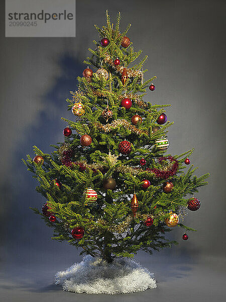 Decorated Christmas tree isolated on studio background