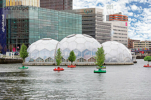 Floating Pavilions  Rotterdam  Netherlands