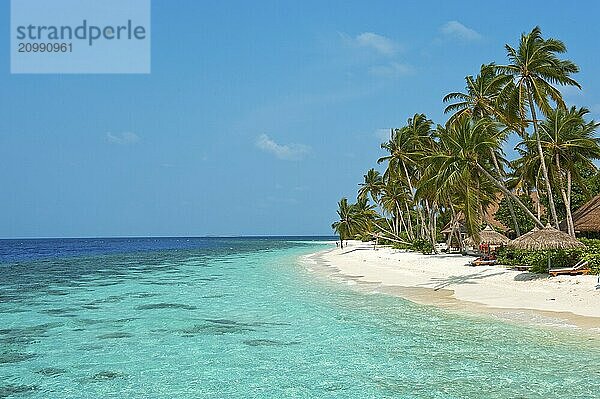 View of beach with turquoise blue water in shallow lagoon of Maldives island Filaidhoo in Indian Ocean  on the right coconut palm (Cocos nucifera)  Filaidhoo island  Raa Atoll  Maldives  Asia