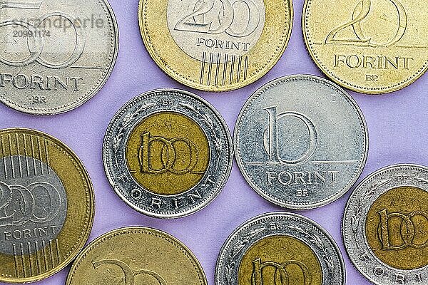 Assortment of Hungarian forint coins on purple background