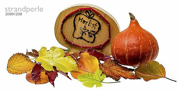 Autumn decoration with colourful foliage and Hokkaido pumpkin cropped on white