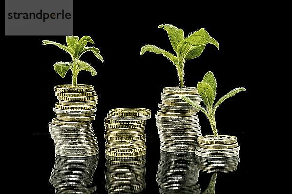 Plants grow from stacked coins in front of a black background with reflection