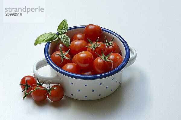 Cherry tomato in pot  cherry tomato  Solanum lycopersicum