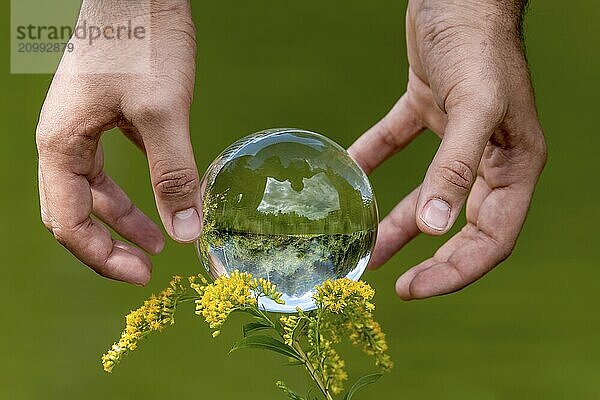 A man's hand grasps a glass sphere with a mirrored lake  trees and a cloudy sky against a green background