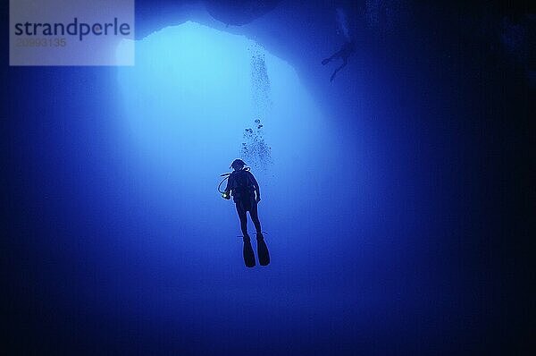 Female diver scuba diver diving in floating under opening cave opening large hole in seabed entrance of vertical underwater cave cavity in coral reef collapsed karst cave Blue Hole of Nassau mt blue light in blue water  Caribbean  New Providence  Bahamas  Central America