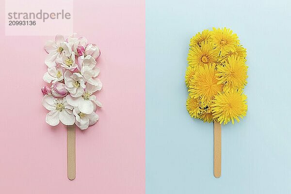 Greeting card concept collage flat lay on pink and blue background with apple and dandelion blossom ice cream lolly on a stick