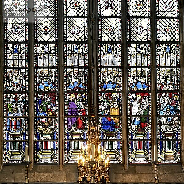 10th century Gothic St. Bavo Cathedral  Stained-Glass window  Ghent  Flanders  Belgium  Europe