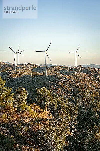 Sortelha nature landscape view with mountains  trees  boulders and wind turbines at sunset  in Portugal