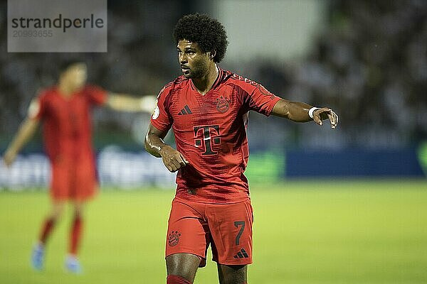 Football match  Serge GNABRY FC Bayern Munich indicates the direction with his right arm  football stadium Donaustadion  Ulm  Germany  Europe